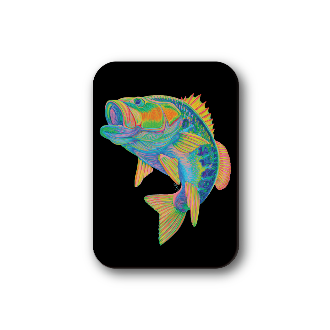 Rainbow Bass