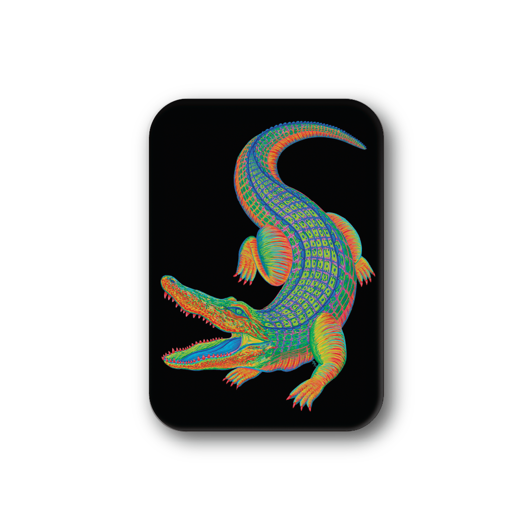 Rainbow Alligator