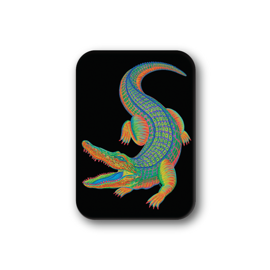 Rainbow Alligator