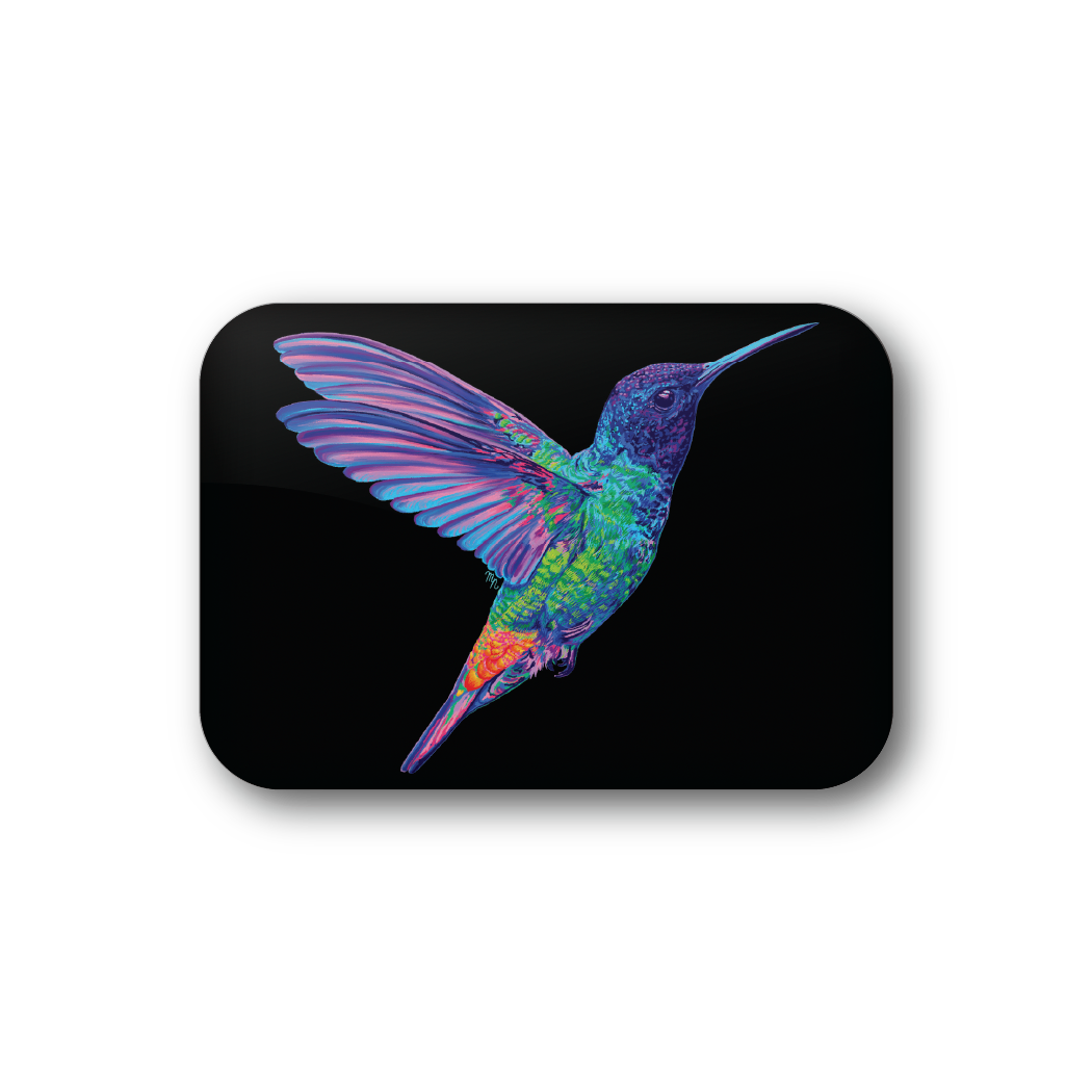Rainbow Hummingbird