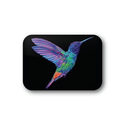 Rainbow Hummingbird