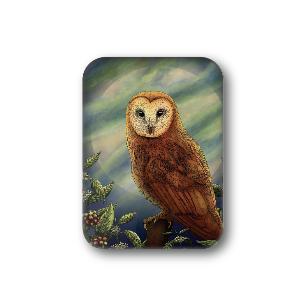 Night Owl