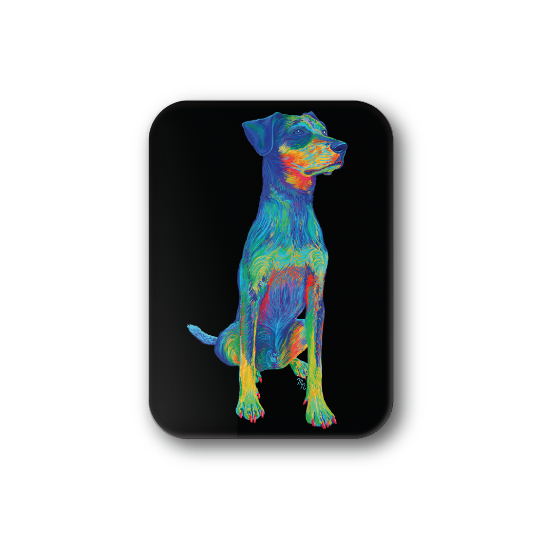 Rainbow Hound