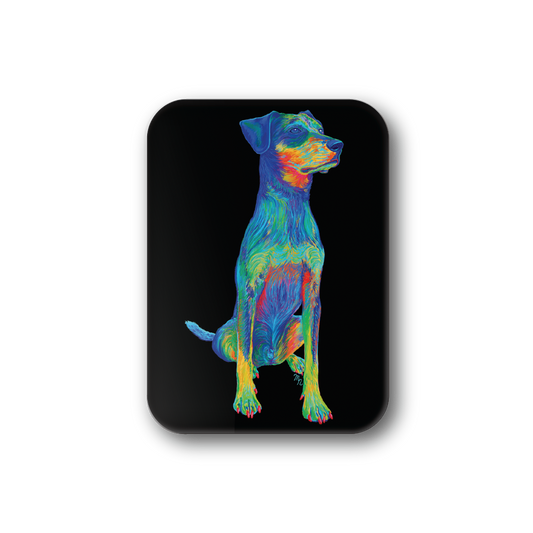 Rainbow Hound