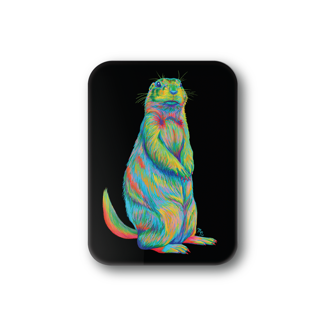 Rainbow Prarie Dog