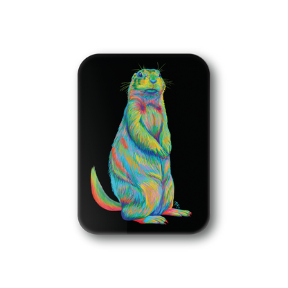 Rainbow Prarie Dog