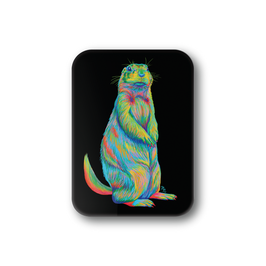 Rainbow Prarie Dog
