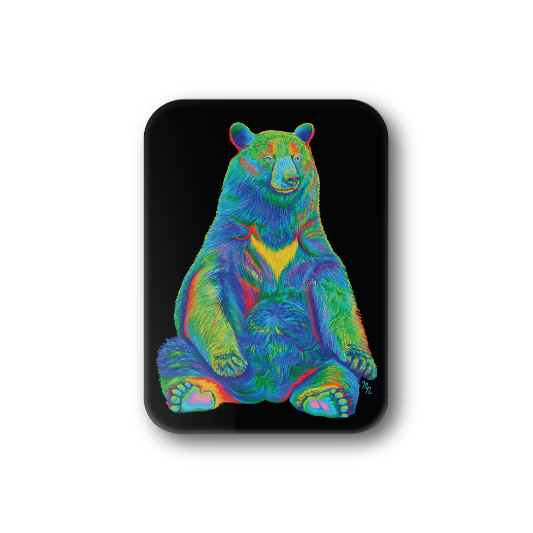 Rainbow Bear