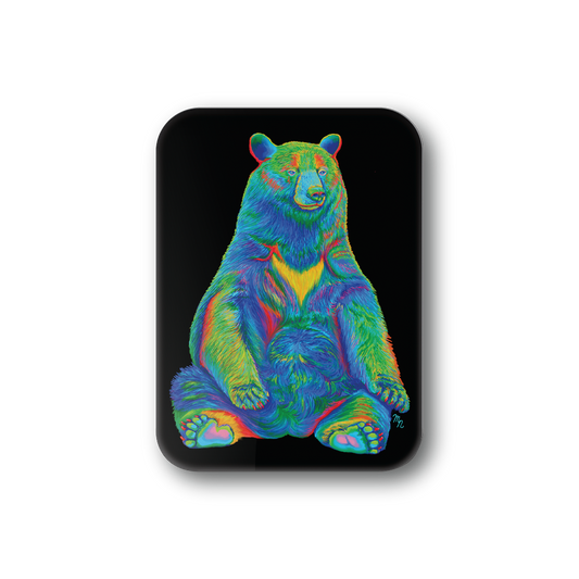 Rainbow Bear