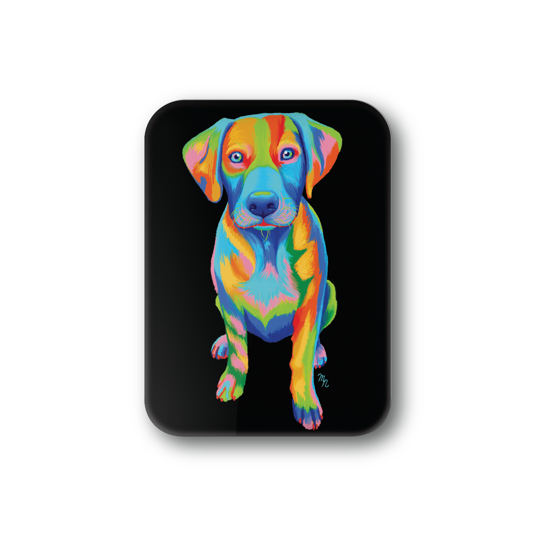Rainbow Puppy