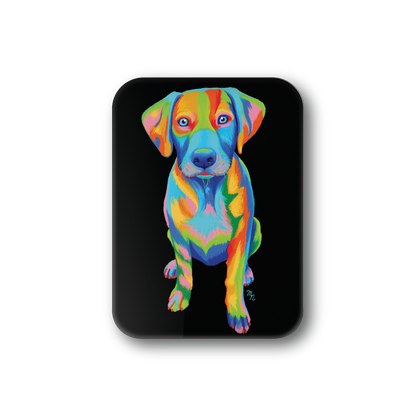Rainbow Puppy