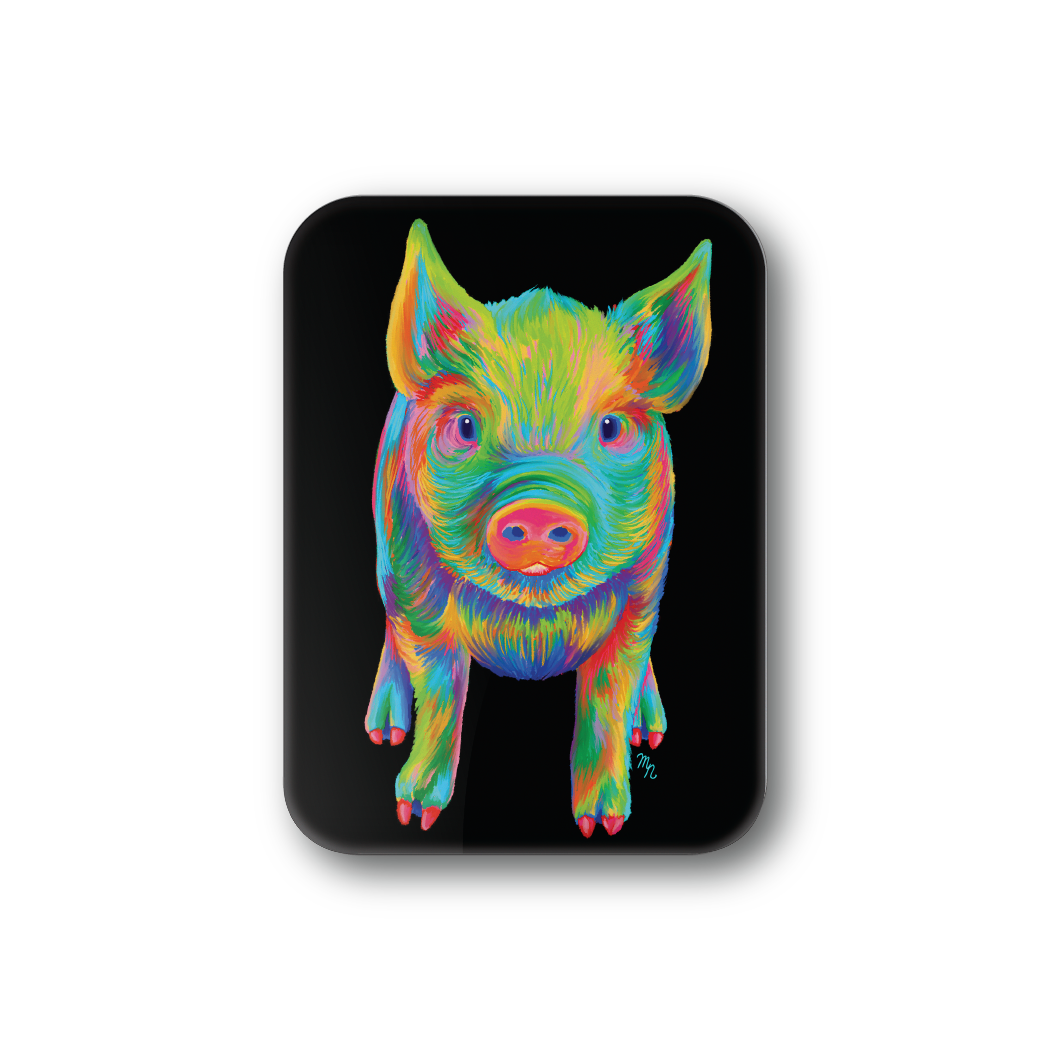 Rainbow Pig