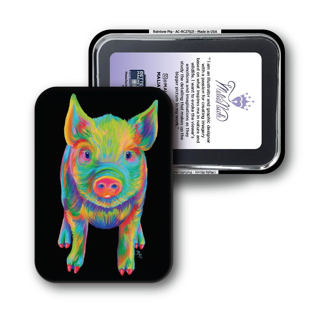 Rainbow Pig