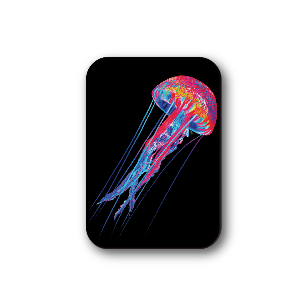 Rainbow Jellyfish