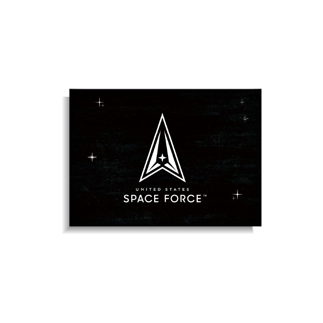 United States Space Forceª Flag