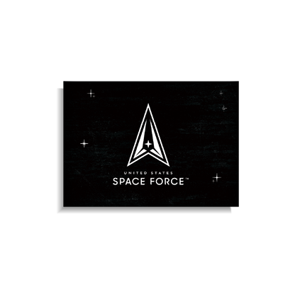 United States Space Forceª Flag